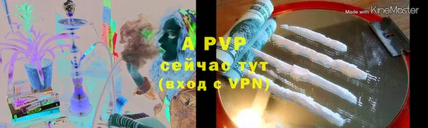 индика Шадринск