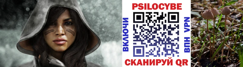 закладки  Урус-Мартан  Галлюциногенные грибы прущие грибы 